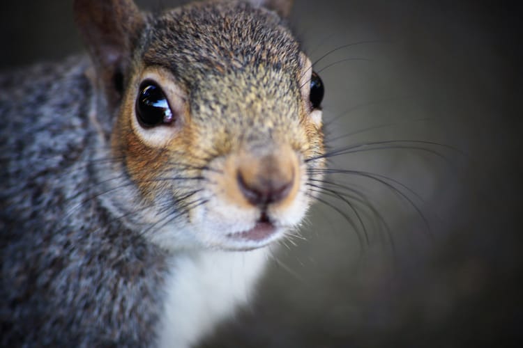 What if you just believe in it?